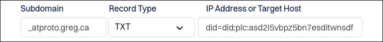 DNS TXT Record